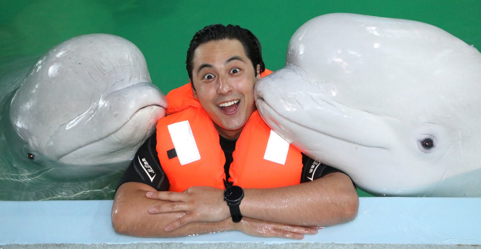 dolphinarium